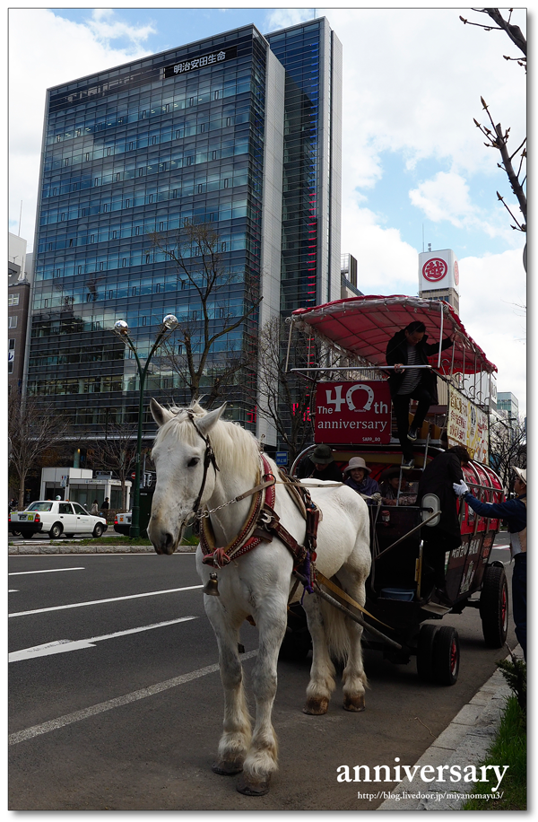 今年は40周年 札幌観光幌馬車 運行始まる 北の暮らし 札幌 宮の森から