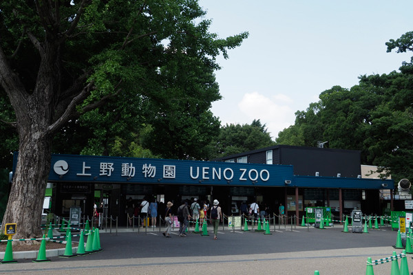 暑い夏の上野動物園 北の暮らし 札幌 宮の森から