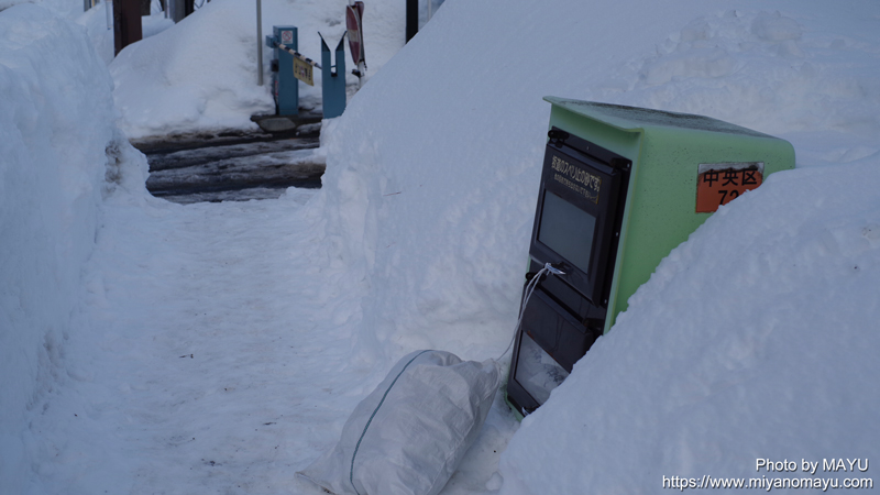 落雪注意とカラスの学習 北の暮らし 札幌 宮の森から