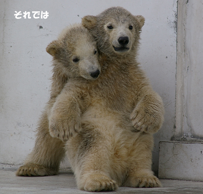 車窓から