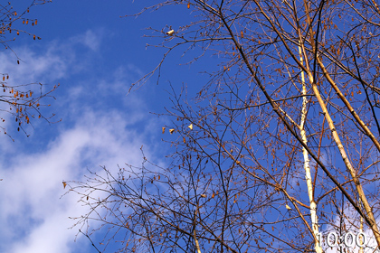 青空