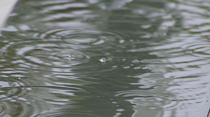 雨