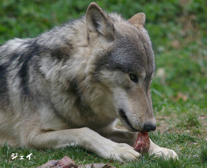 2食べる