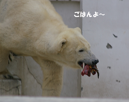 ごはん