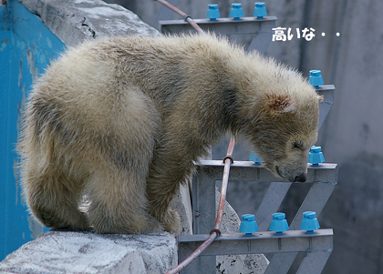 高いな