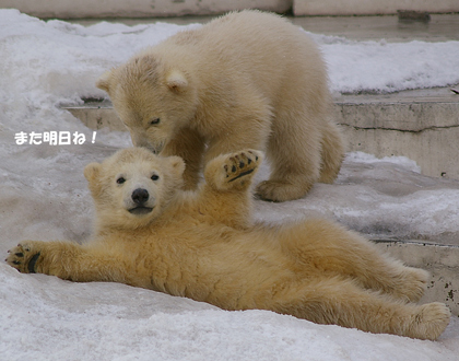 また明日