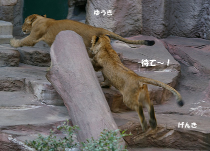 待て