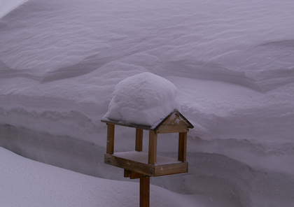 風雪