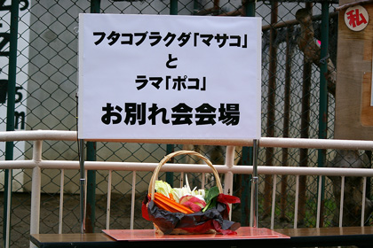 円山動物園