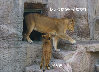 しょうがない子
