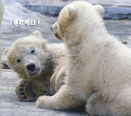 また明日