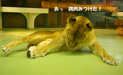 見つけ