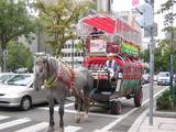 幌馬車