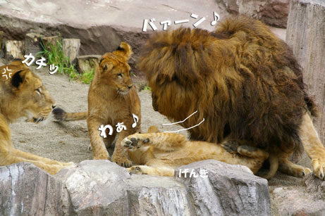 ばーん