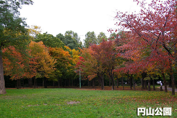 公園