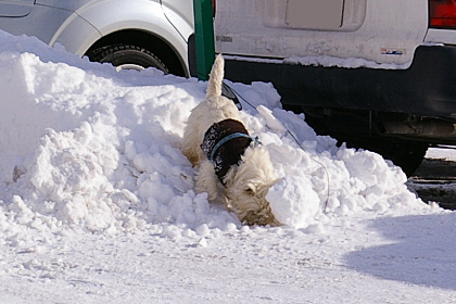 雪遊び