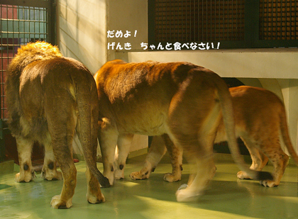 食べなさい