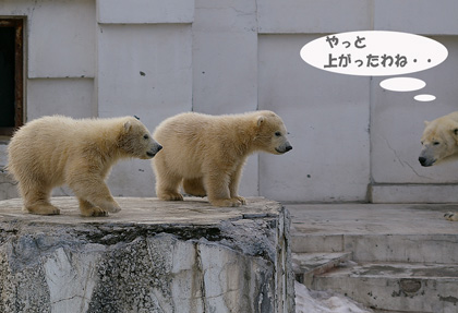 上がったわね