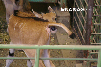 自分でも