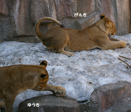 ゆうき片手