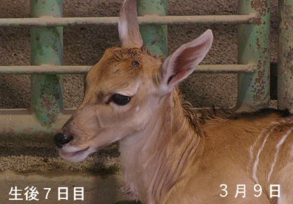3月9日