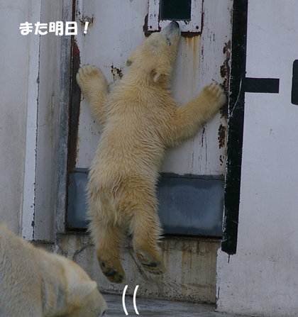 また明日