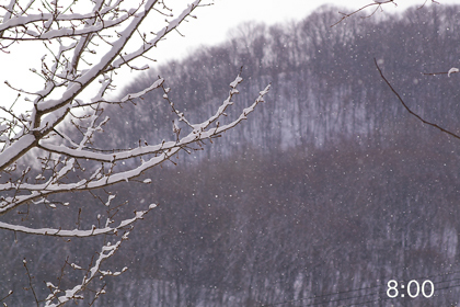 雪