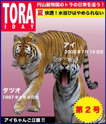 円山動物園　トラ
