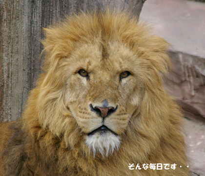 そんな