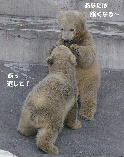 眠くなる