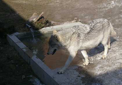 水場