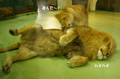 遊んで