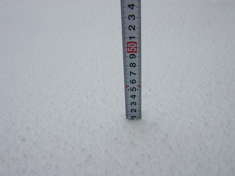 41cm
