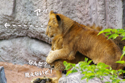 あっ