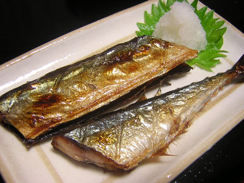 秋刀魚