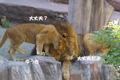 大丈夫