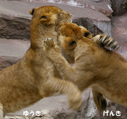 立つ