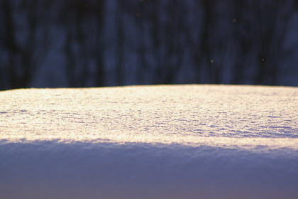 雪面