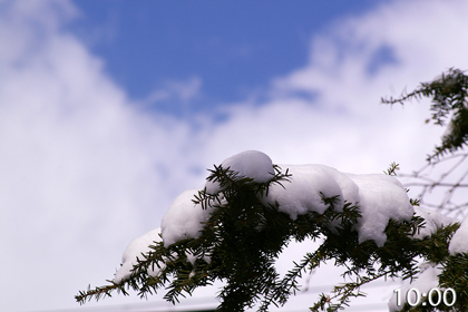 雪