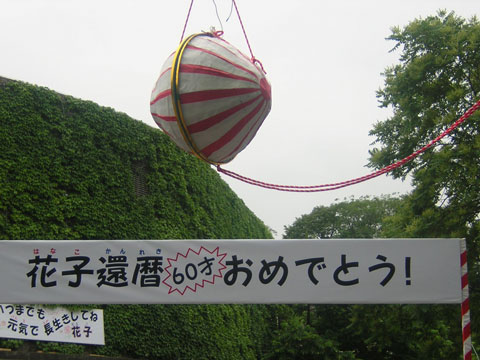 くす玉