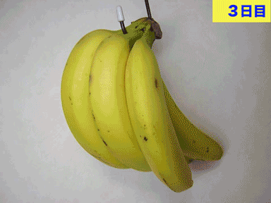 黒バナナ