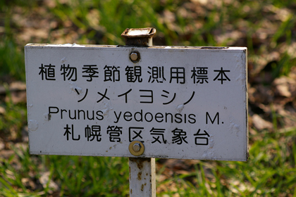 看板