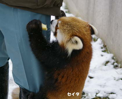 6食べる