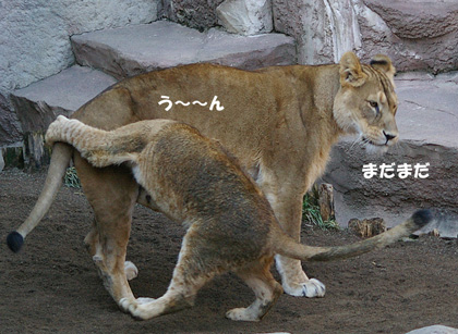 4まだまだ