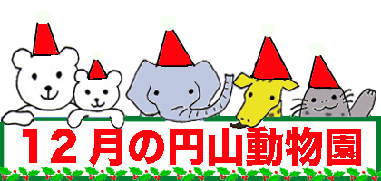 １２月の円山動物園