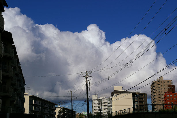 雲