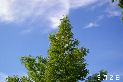 青空