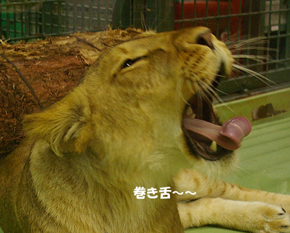巻き舌