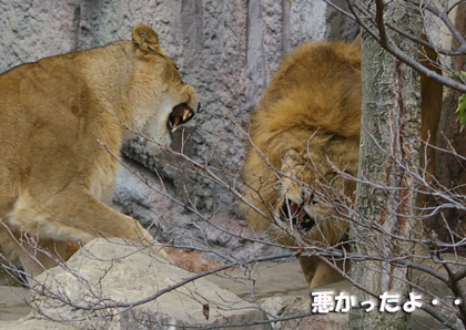 10悪かった