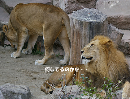 何